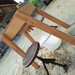 Unsere �bungskuh "Faironika"
