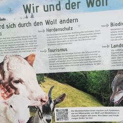 Auch der Wolf ist ein Thema 