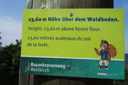Baumkronenweg Waldkirch