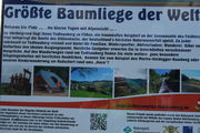 Die größte Baumliege in Todtnauberg