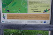 Walderlebnispfad in Todtnauberg