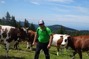 Besuch auf der Sommerweide am Feldberg