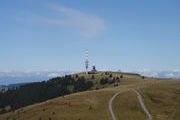 Blick vom Feldbergturm zum Feldberggipfel