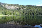 Am Feldsee